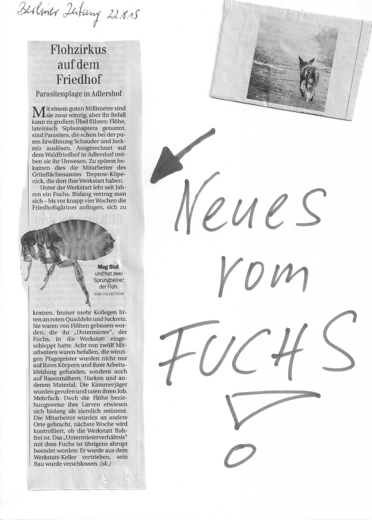 Fuchs1