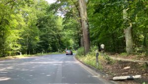 Die Heiligenseestraße mit dem parallel verlaufenden Radweg im Wald.