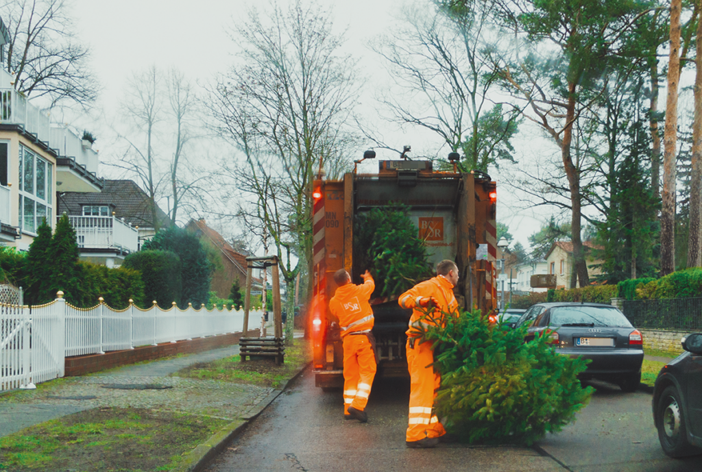 BSR-Mitarbeiter werden Tannenbäume in ein Müllfahrzeug.