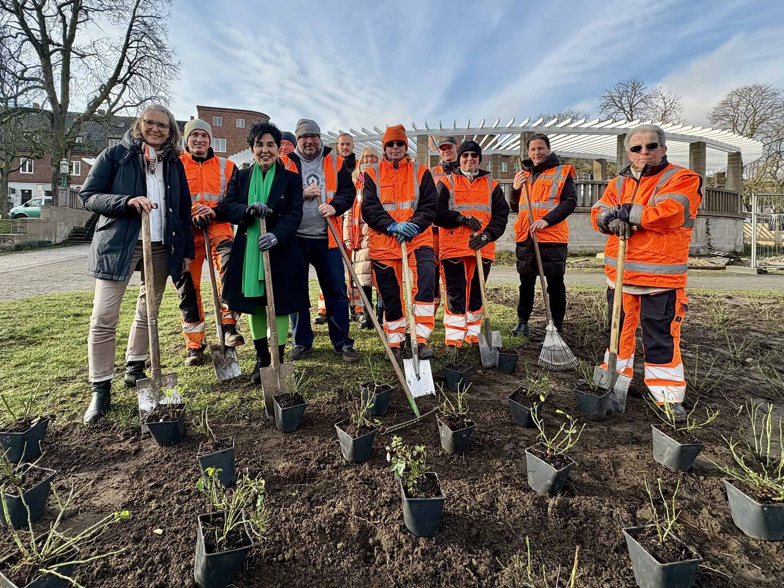 Die Bezirksbürgermeisterin, Katrin Lesser und Beschäftigte des Grünflächenamtes stehen mit Spaten an einem Rosenbeet auf dem Zeltinger Platz. 