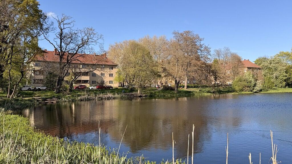 Das Breitkopfbecken in Reinickendorf-Ost. © DZ