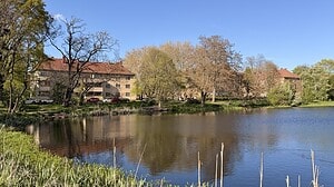 Das Breitkopfbecken in Reinickendorf-Ost. © DZ