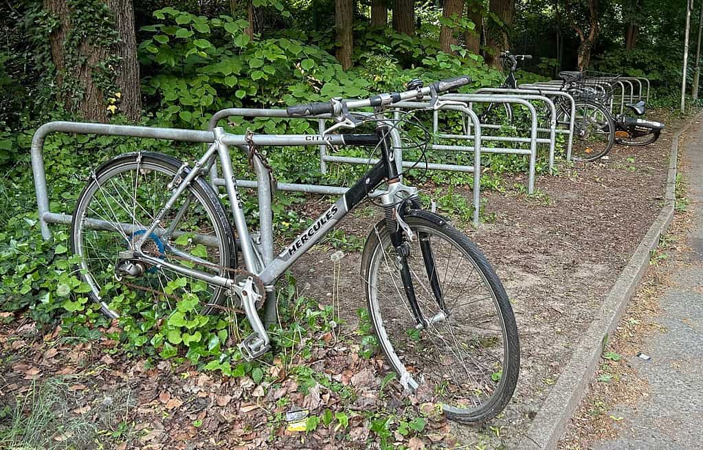 Ein mutmaßliches Schrottfahrrad am S-Bahnhof Waidmannslust.
