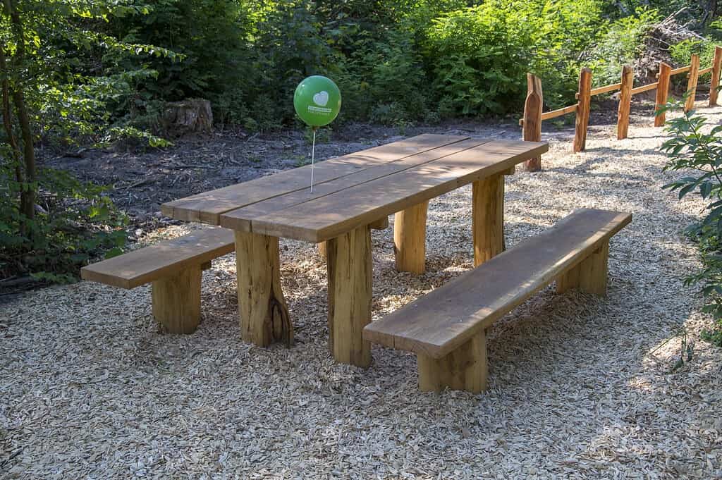 Tisch und Bänke aus massivem Holz auf dem Waldspielplatz