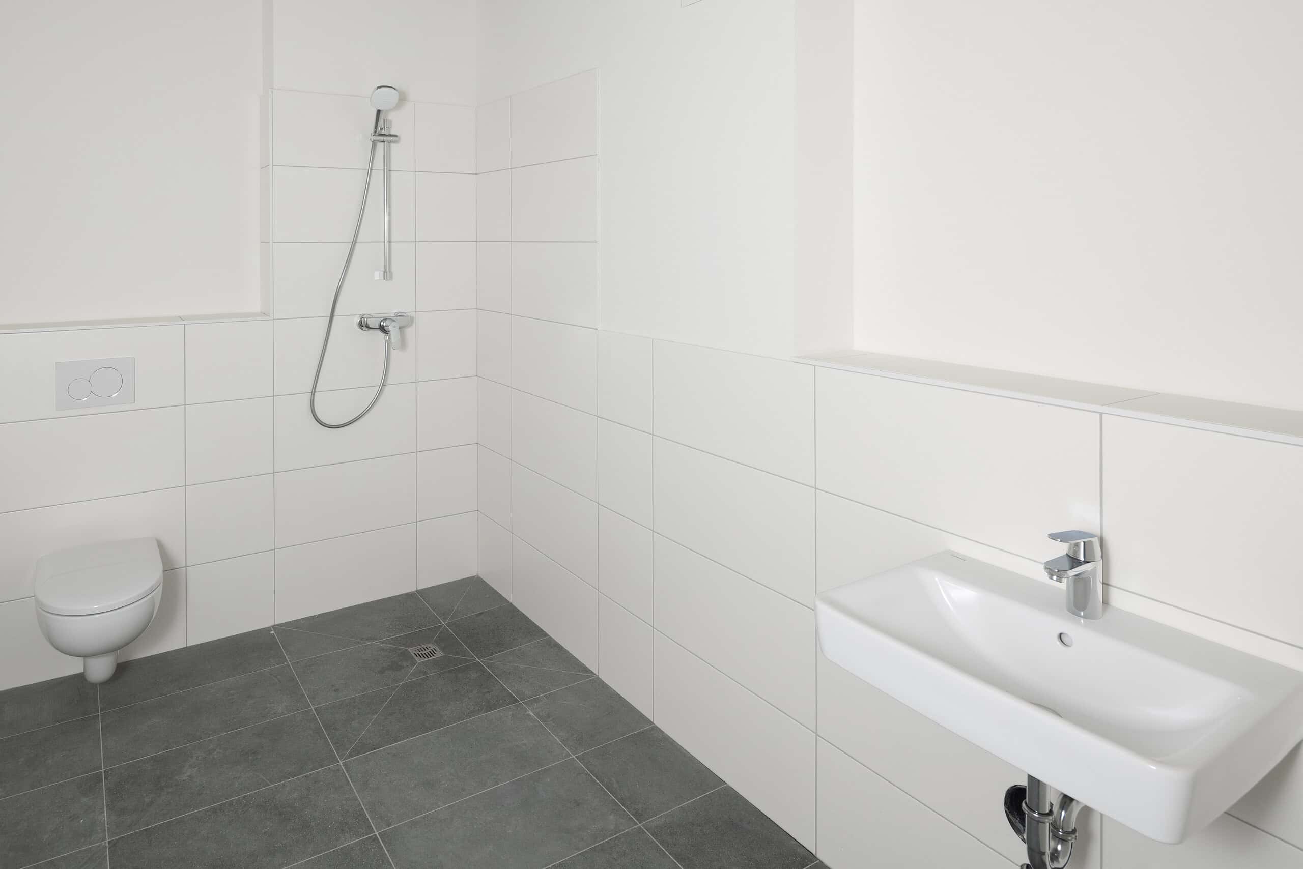 Badezimmer mit Dusche, WC und Waschbecken