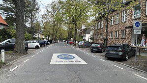 Blick in den Edelhofdamm mit der weißen Fahrbahnmarkierung „Fahrradstraße“, parkenden Autos am Rand und alten Bäumen