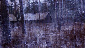 Fotografie eines Kiefernwaldes mit mehreren Holzhäusern in blau-violettem Licht