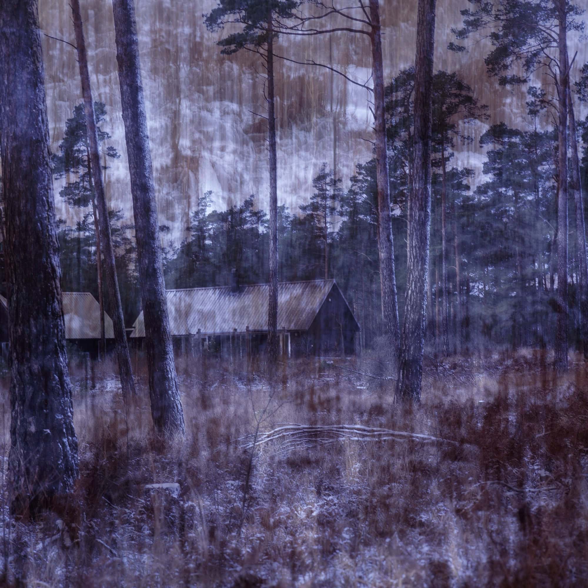 Fotografie eines Kiefernwaldes mit mehreren Holzhäusern in blau-violettem Licht