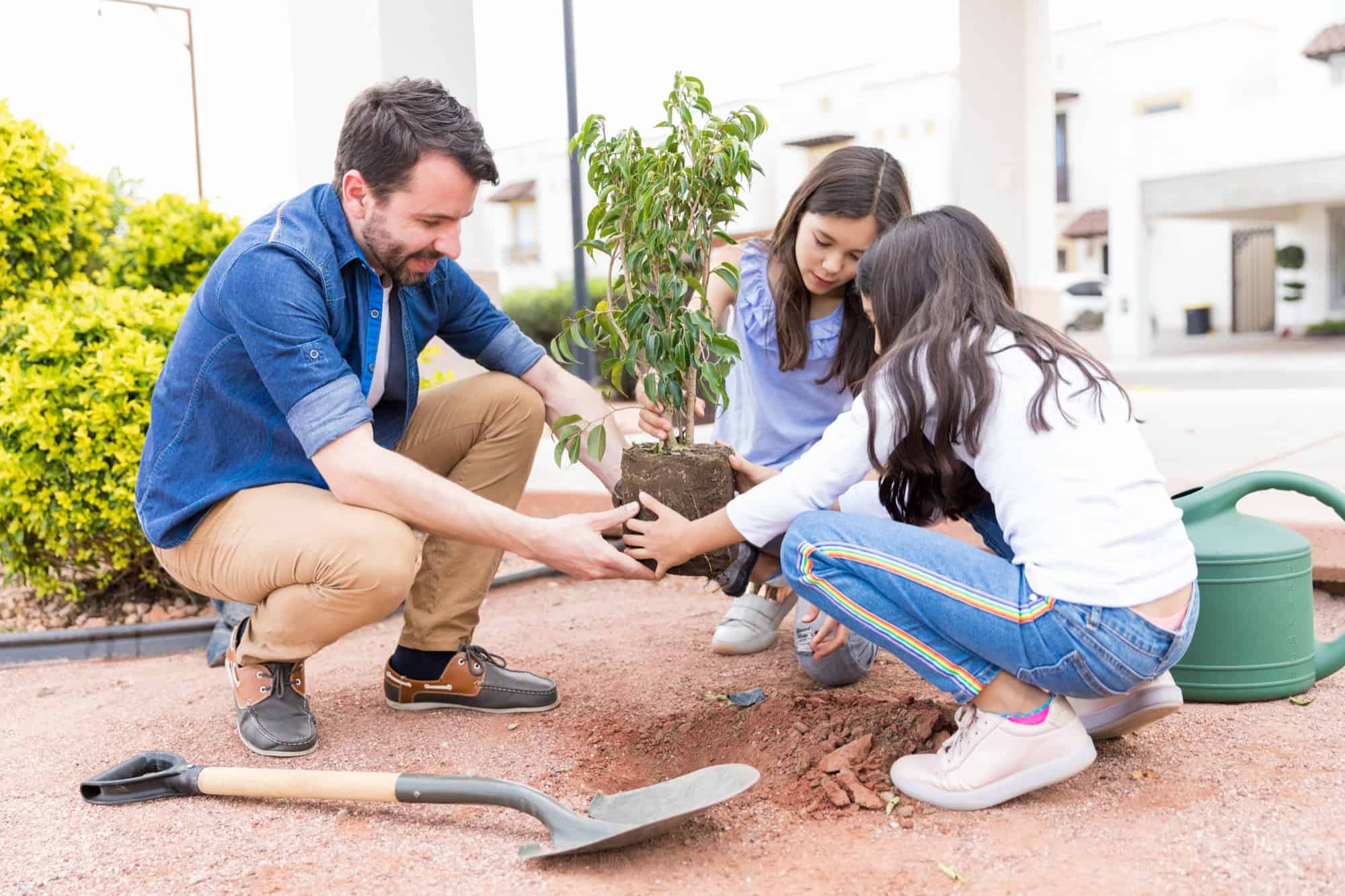 Familie pflanzt einen jungen Baum im Garten eines Wohnhauses
