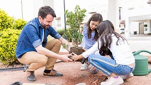 Familie pflanzt einen jungen Baum im Garten eines Wohnhauses