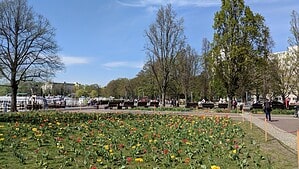Blühende Tulpenbeete am Ufer des Tegeler Hafens, dahinter die Greenwichpromenade mit Bänken, Spaziergängern und Ausflugsschiffen am Anleger.