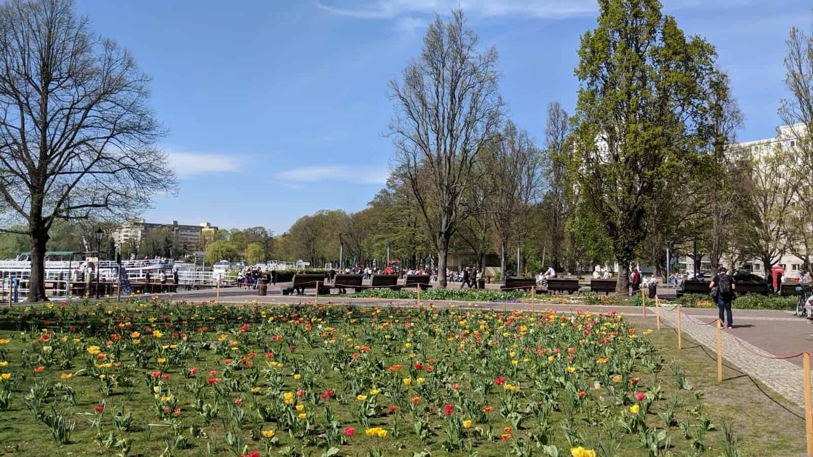 Blühende Tulpenbeete am Ufer des Tegeler Hafens, dahinter die Greenwichpromenade mit Bänken, Spaziergängern und Ausflugsschiffen am Anleger.