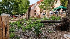 Naturnah gestaltete Grünfläche mit Blühpflanzen, Totholz und Trockenmauern im Mauschbacher Steig