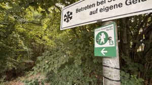 Grünes Markierungsschild „Grüne Hauptwege Berlin“ mit wanderndem Bären, der Nummer 13 und einem Pfeil nach links an einem Metallpfosten vor dichtem Laubwald.