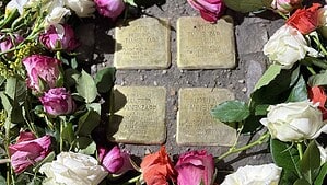 Vier Stolpersteine mit den Namen der Familie Tannenzapf im Gehweg, umgeben von weißen, rosa und orangefarbenen Rosen