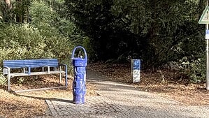 Ein Trinkbrunnen steht vor einer Parkbank am Rande einer Parkanlage.