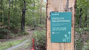 Grünes Schild der Berliner Forsten mit der Aufschrift „Herzlich Waldkommen!“ an einem Holzstamm, dahinter ein Waldweg zwischen Laubbäumen.