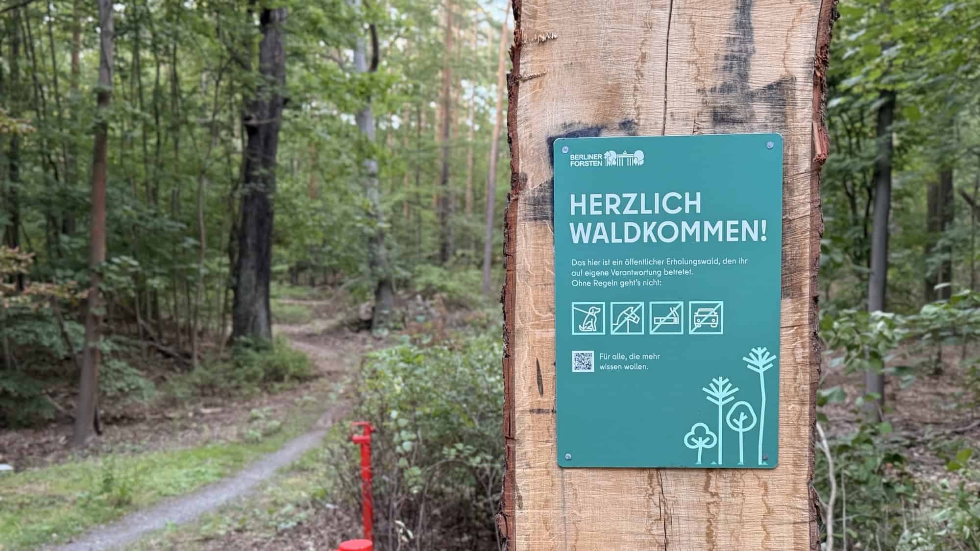 Grünes Schild der Berliner Forsten mit der Aufschrift „Herzlich Waldkommen!“ an einem Holzstamm, dahinter ein Waldweg zwischen Laubbäumen.