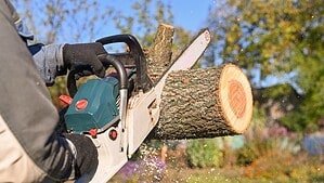 Nahaufnahme: Ein Mann in Arbeitskleidung und Handschuhen sägt mit einer Motorsäge einen liegenden Baumstamm durch, Sägespäne fliegen.