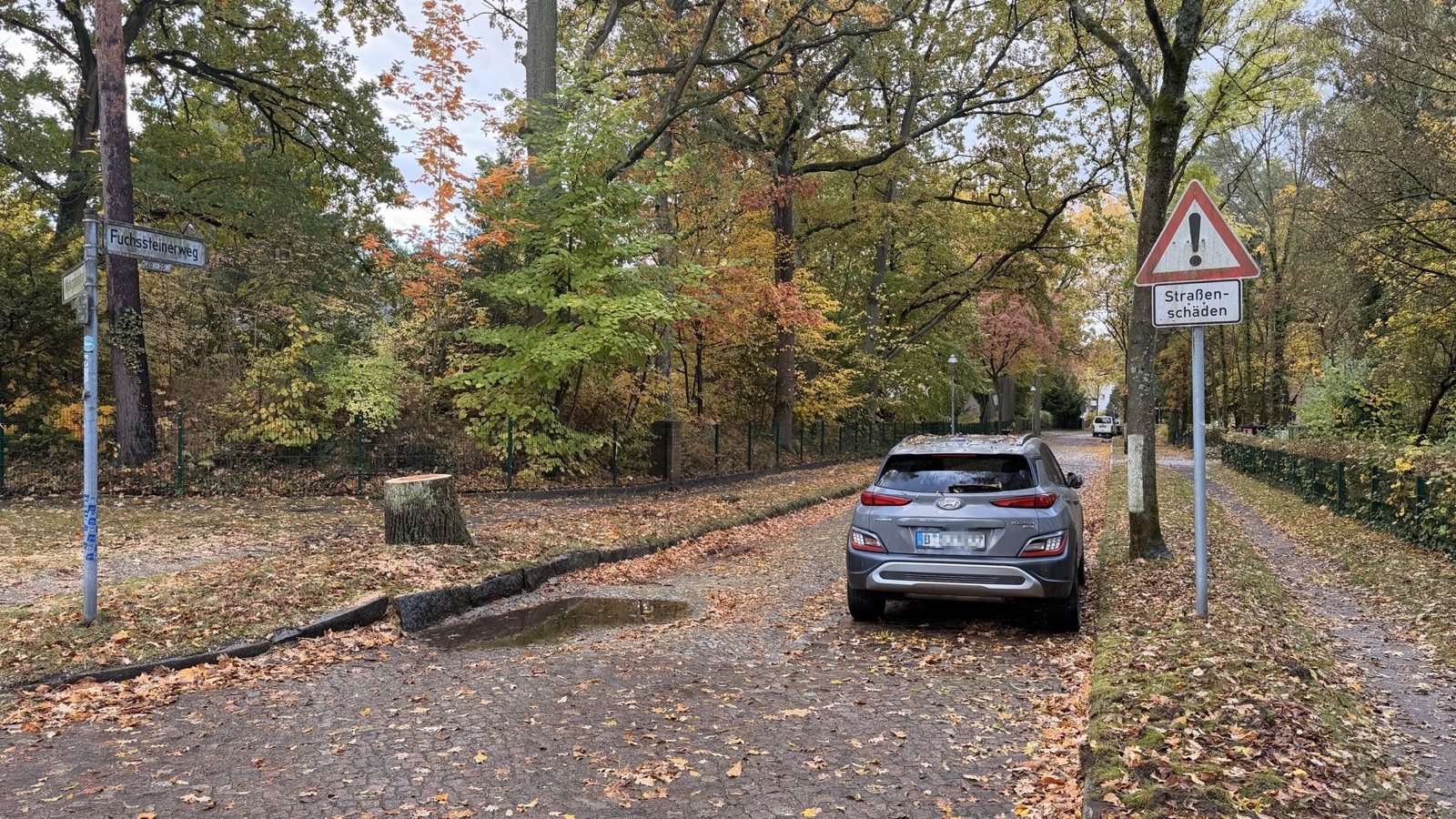 Blick in den Fuchssteinerweg in Berlin Reinickendorf mit herbstlichen Bäumen, einem am Straßenrand abgestellten grauen Auto und einem Straßenschädenschild.