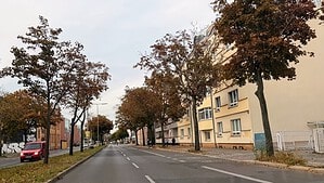 Mehrspurige Ollenhauerstraße mit Straßenbäumen im Herbstlaub, rechts ein heller Wohnblock.
